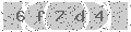 verify code