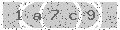 verify code